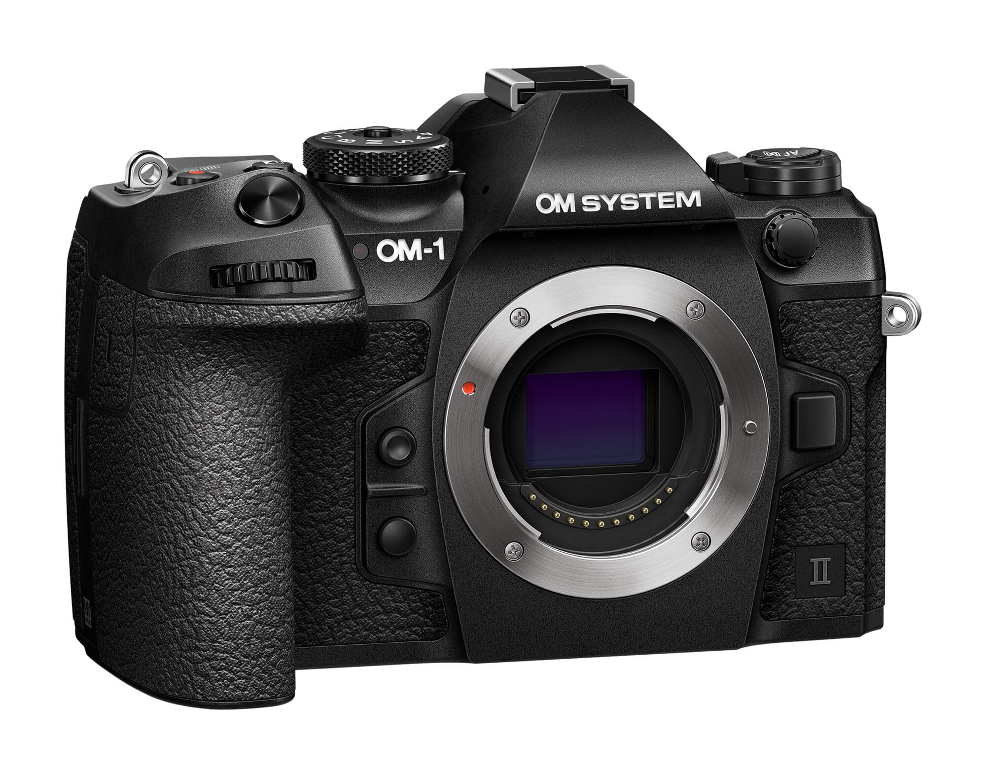 OM SYSTEM OM-1 Mark II + BCX-1 Ladegerät