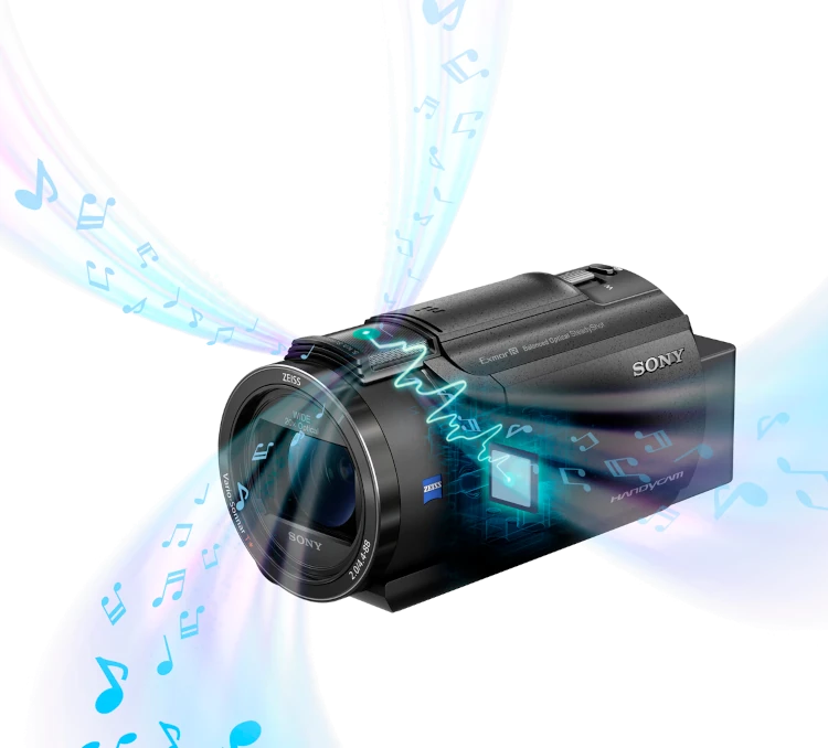 Sony FDR-AX43A 4K Camcorder