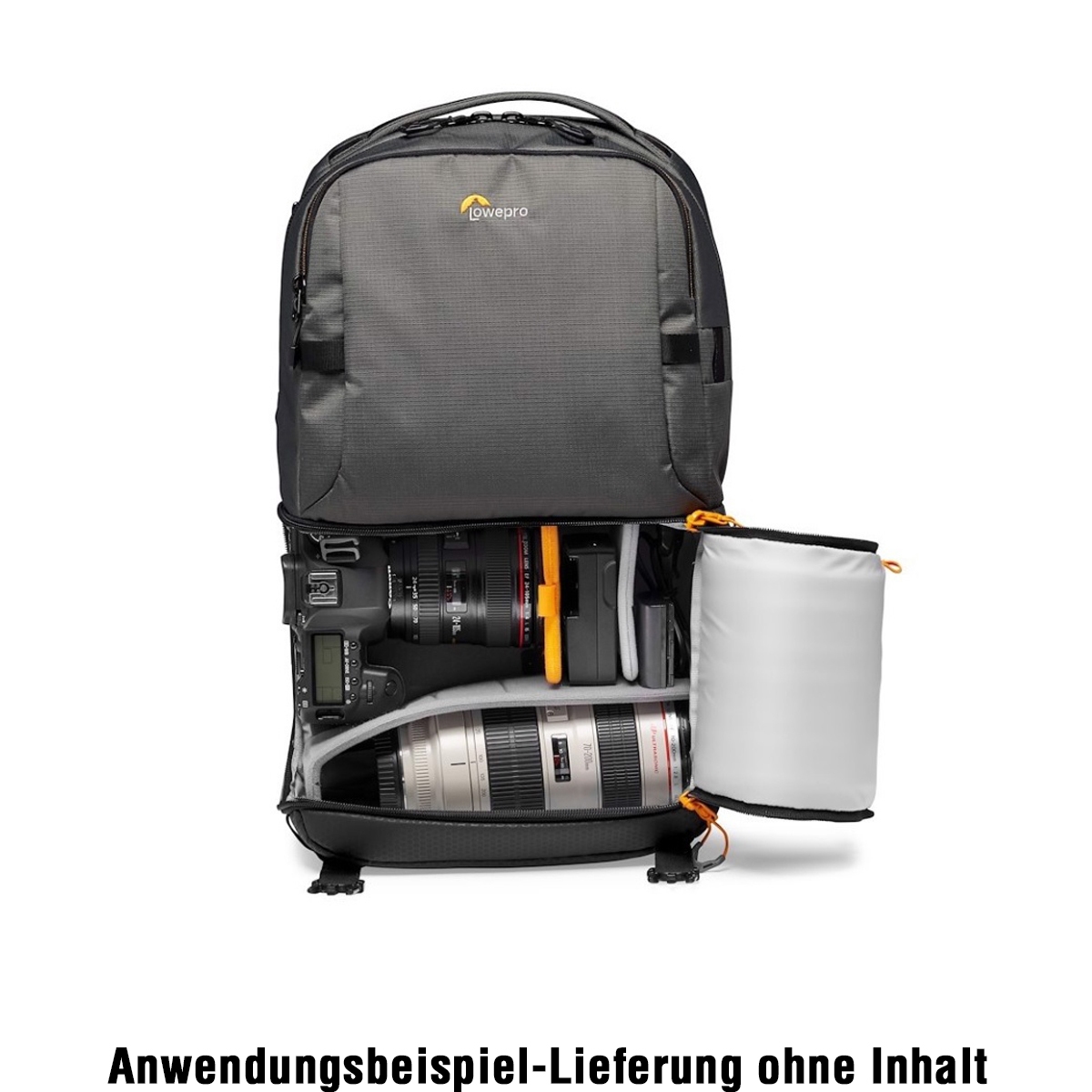 Lowepro Fastpack BP 250 AW III, grau Rucksack
