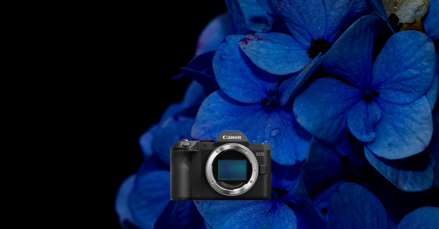 spiegellose Kamera, Kameragehäuse, schwarz, Wechselobjektivanschluss, Canon EOS