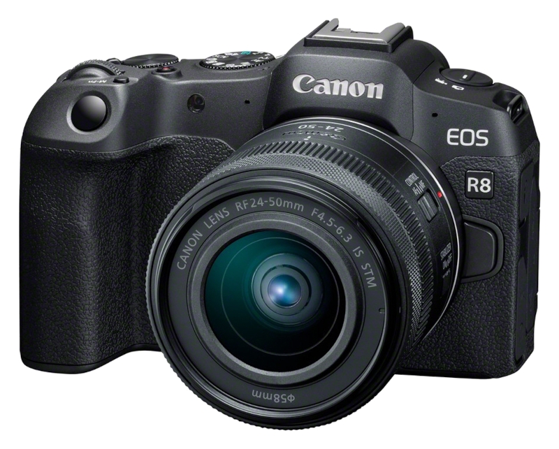 Canon EOS R8 + RF 24-50mm IS STM + RF 100-400mm IS USM