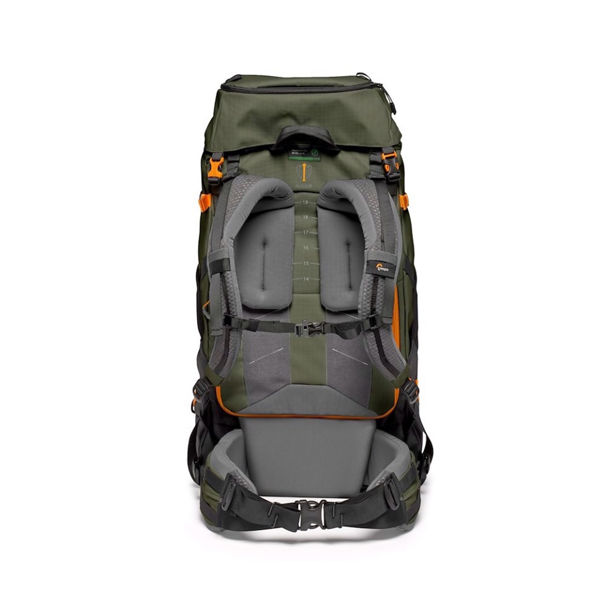 Lowepro PhotoSport PRO 55L AW IV (S-M) grün, Rucksack