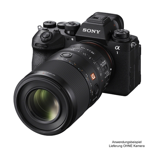 Sony FE SEL 100mm 2.8 GM OSS