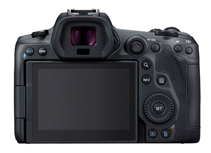 Canon EOS R5 + RF 24-105mm 4-7.1 IS STM