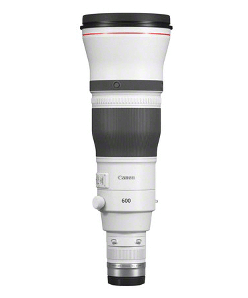 Canon RF 600mm 4.0 L IS USM