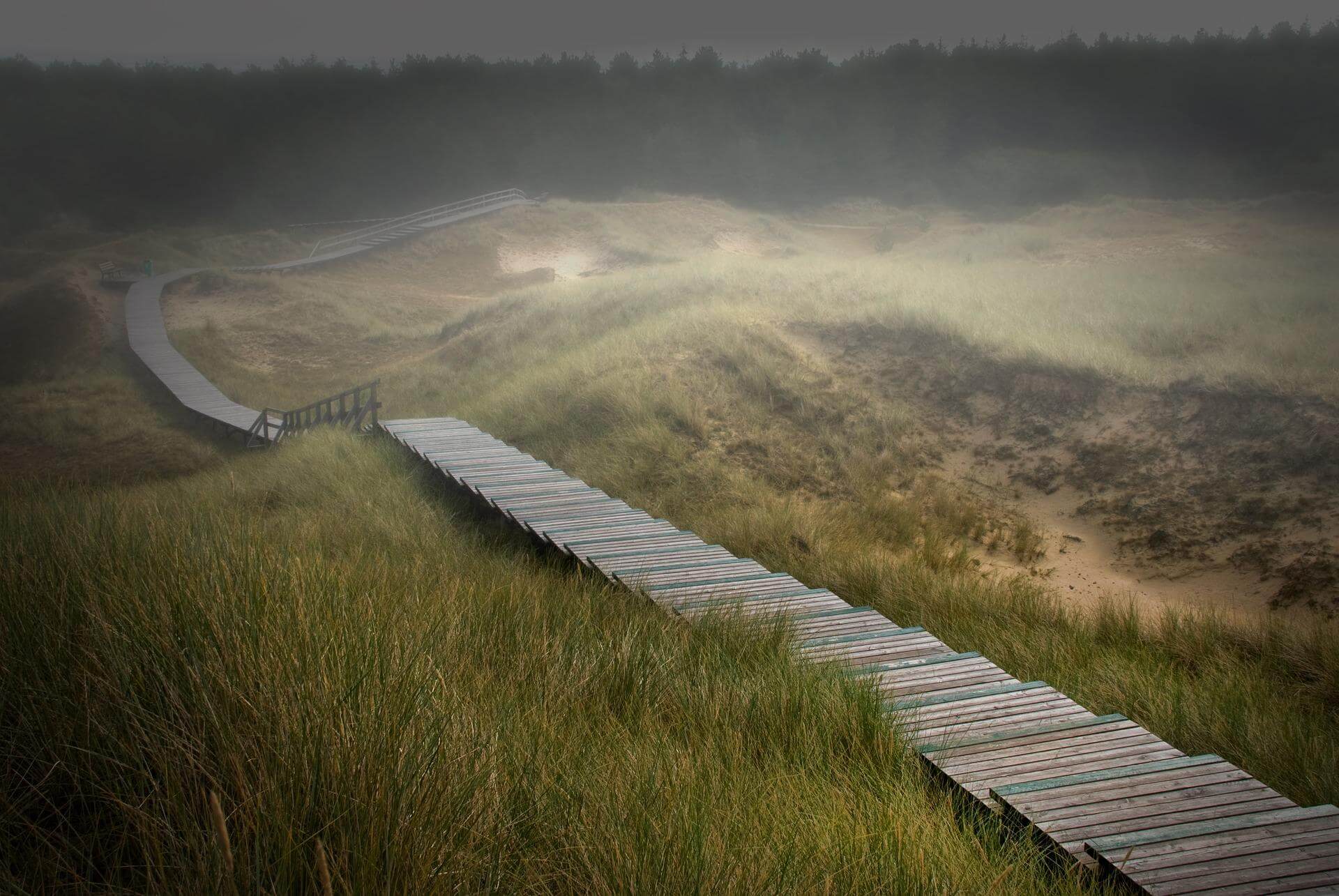 Fotowettbewerb Amrum Fotowettbewerb Amrum