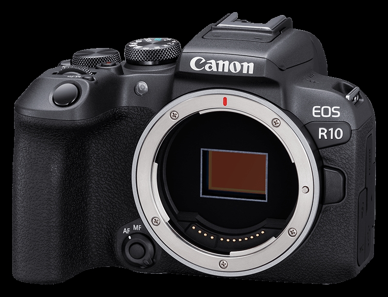 Canon EOS R10 + RF-S 18-150mm 3.5-6.3 IS STM + RF 75-300mm 4-5.6