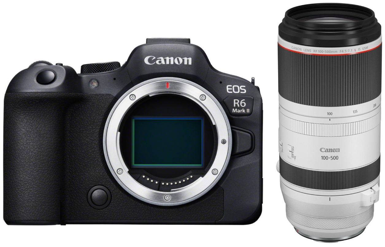Canon EOS R6 Mark II + RF 100-500mm 4.5-7.1 L IS USM