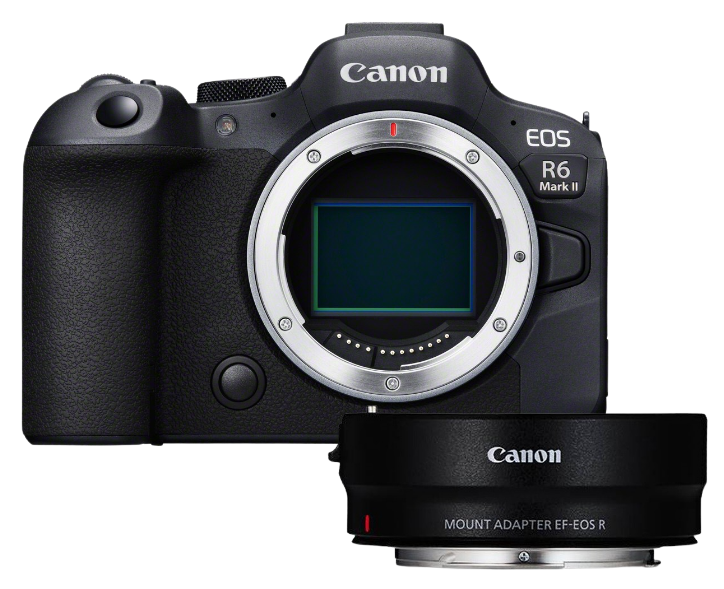 Canon EOS R6 Mark II + EF-EOS R Adapter