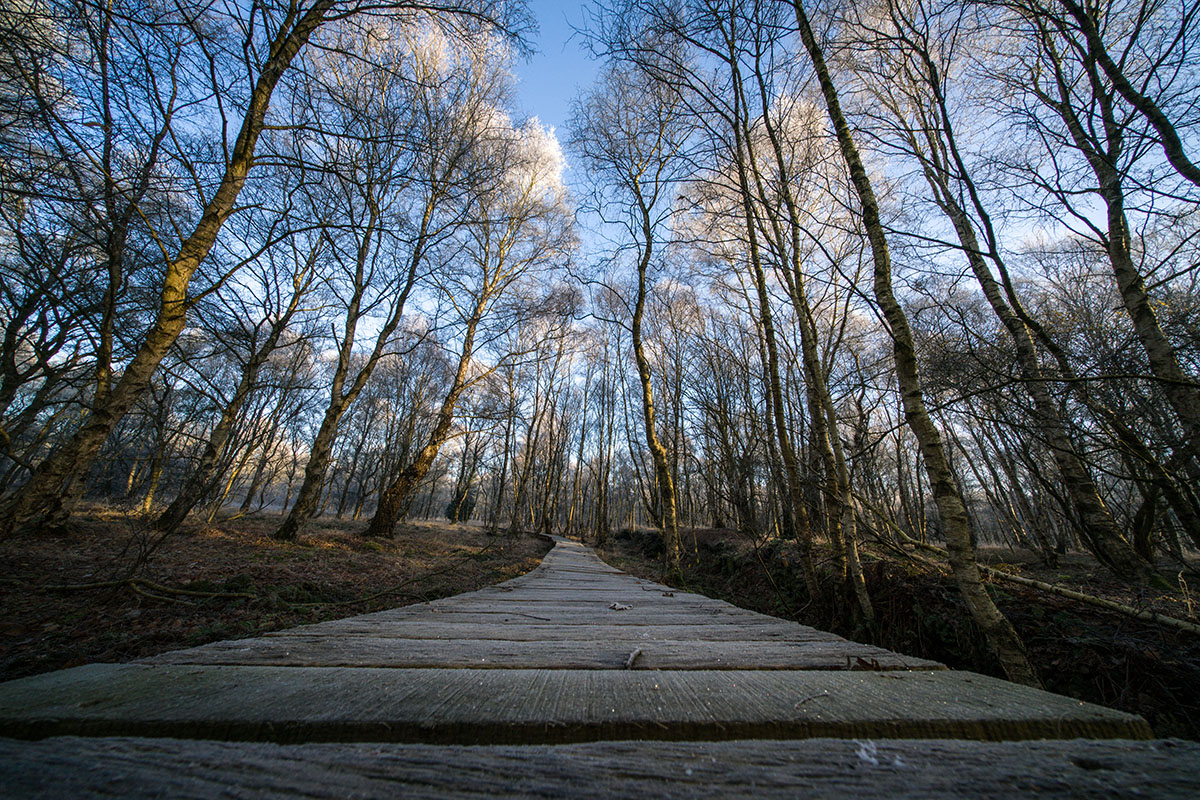 Voigtländer Hyper Wide Heliar 10mm 5.6 VM ASPH. für Leica M