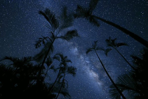 Canon RF 16mm 2.8 STM