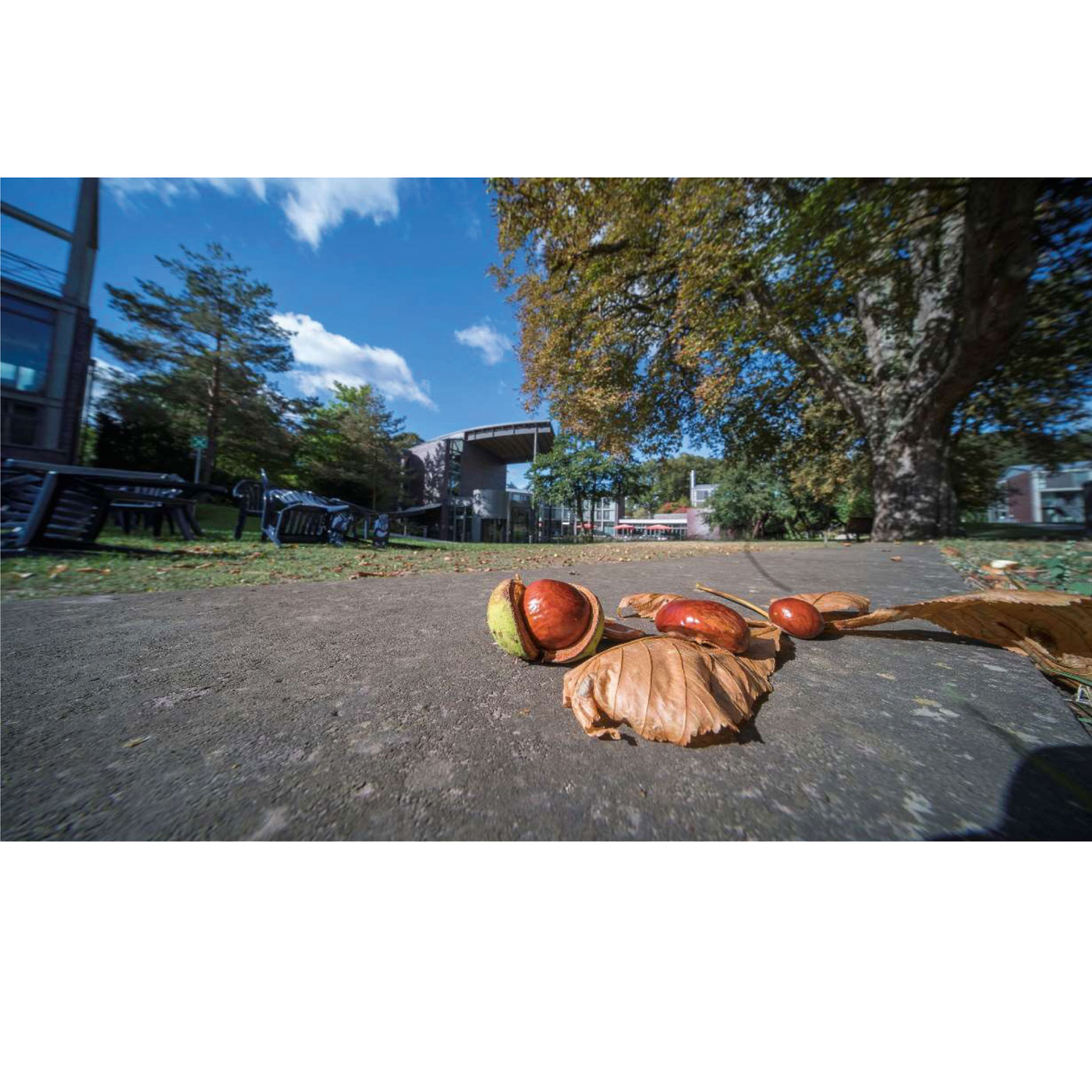 Laowa 10-18mm 4.5-5.6 für L-Mount