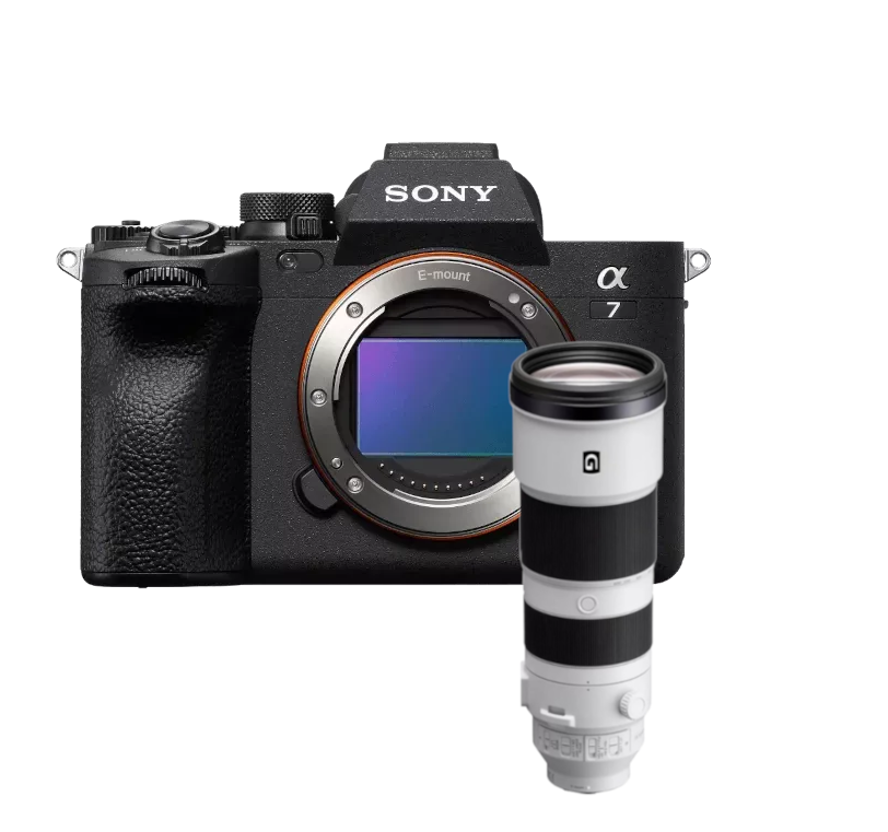 Sony Alpha 7 IV + FE SEL 200-600mm 5.6-6.3 G OSS