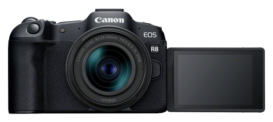 Canon EOS R8 + RF 24-50mm IS STM + RF 100-400mm IS USM