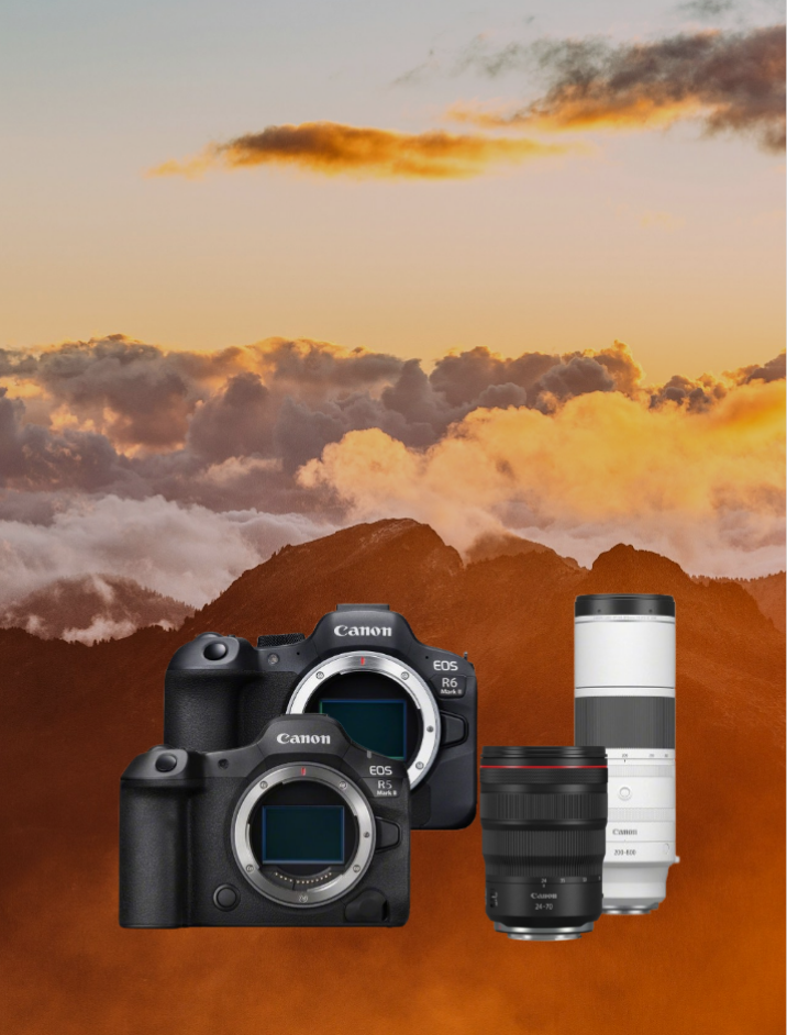 kamera, DSLR, Canon, Objektive, 2 Gehäuse