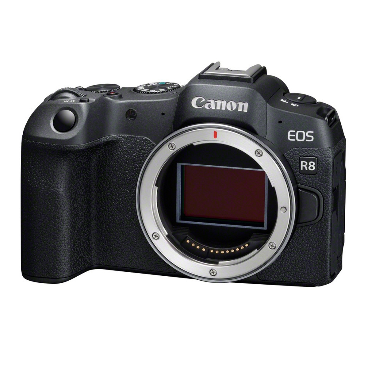 Canon EOS R8 + LP-E17 Akku Kamerakit