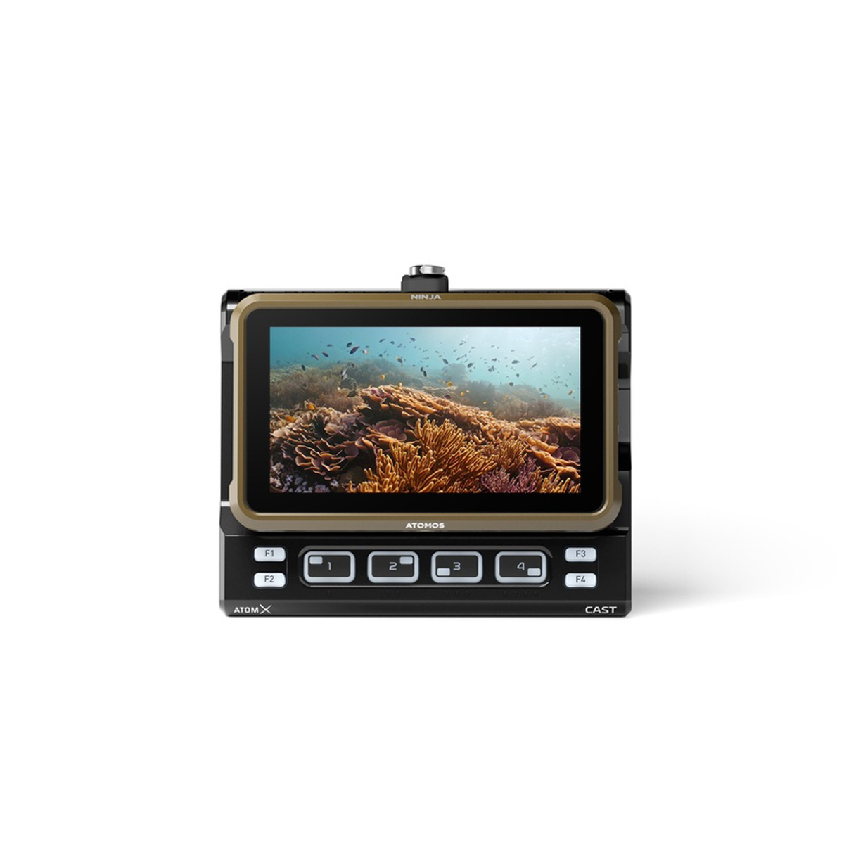 Atomos Ninja 13,2 cm (5,2") HDMI Monitor/Recorder