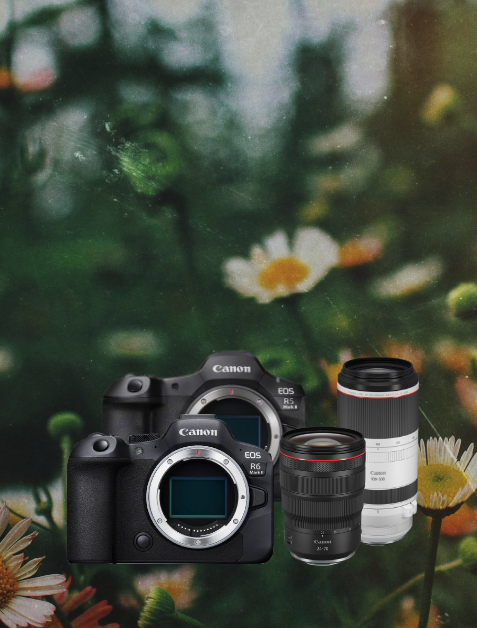  Digitale Kamera,  Kamera-Körper, Canon, Spiegellose Kamera, Objektiv(en)