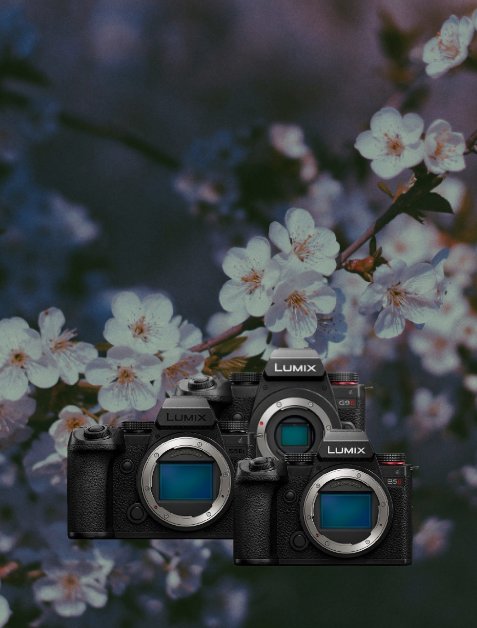 Kamera, Spiegelreflex?, Schwarz, Bildsensor, 3 Körper