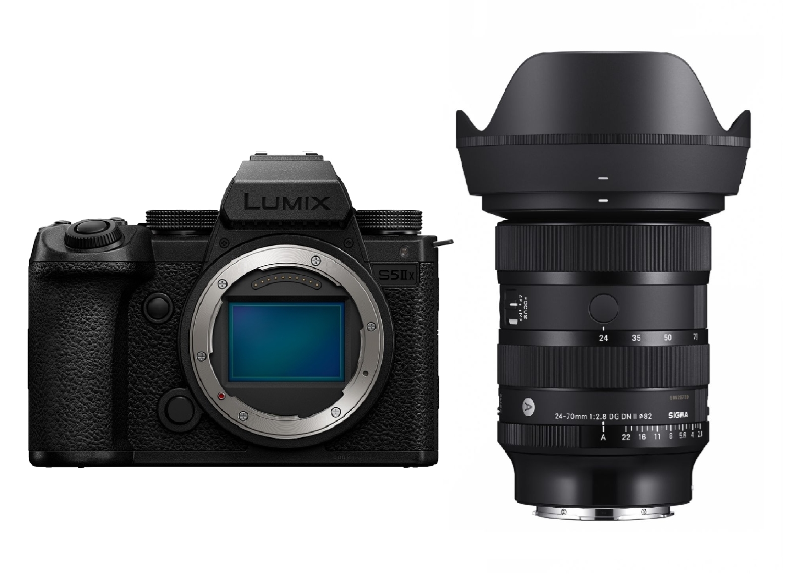 Panasonic Lumix DC-S5 II X + Sigma Art 24-70mm 2.8 DG DN II