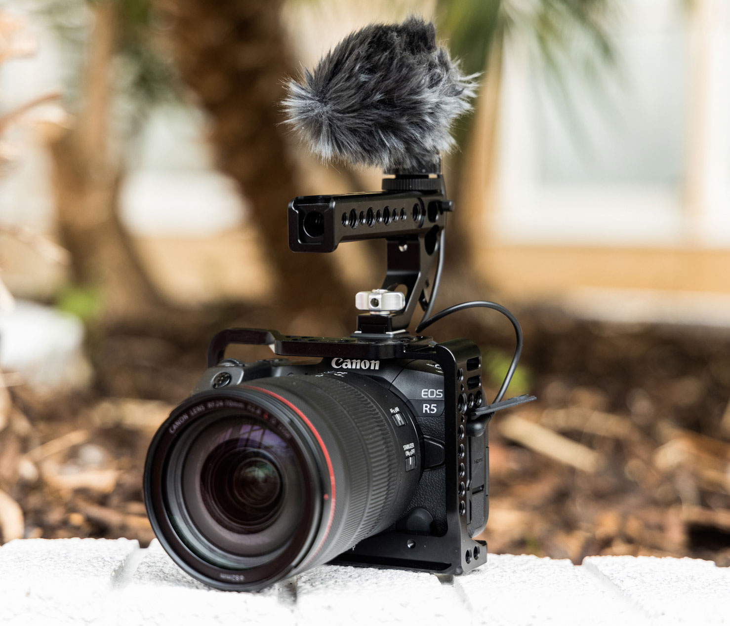 Canon EOS R5 + RF 24-105mm 4-7.1 IS STM