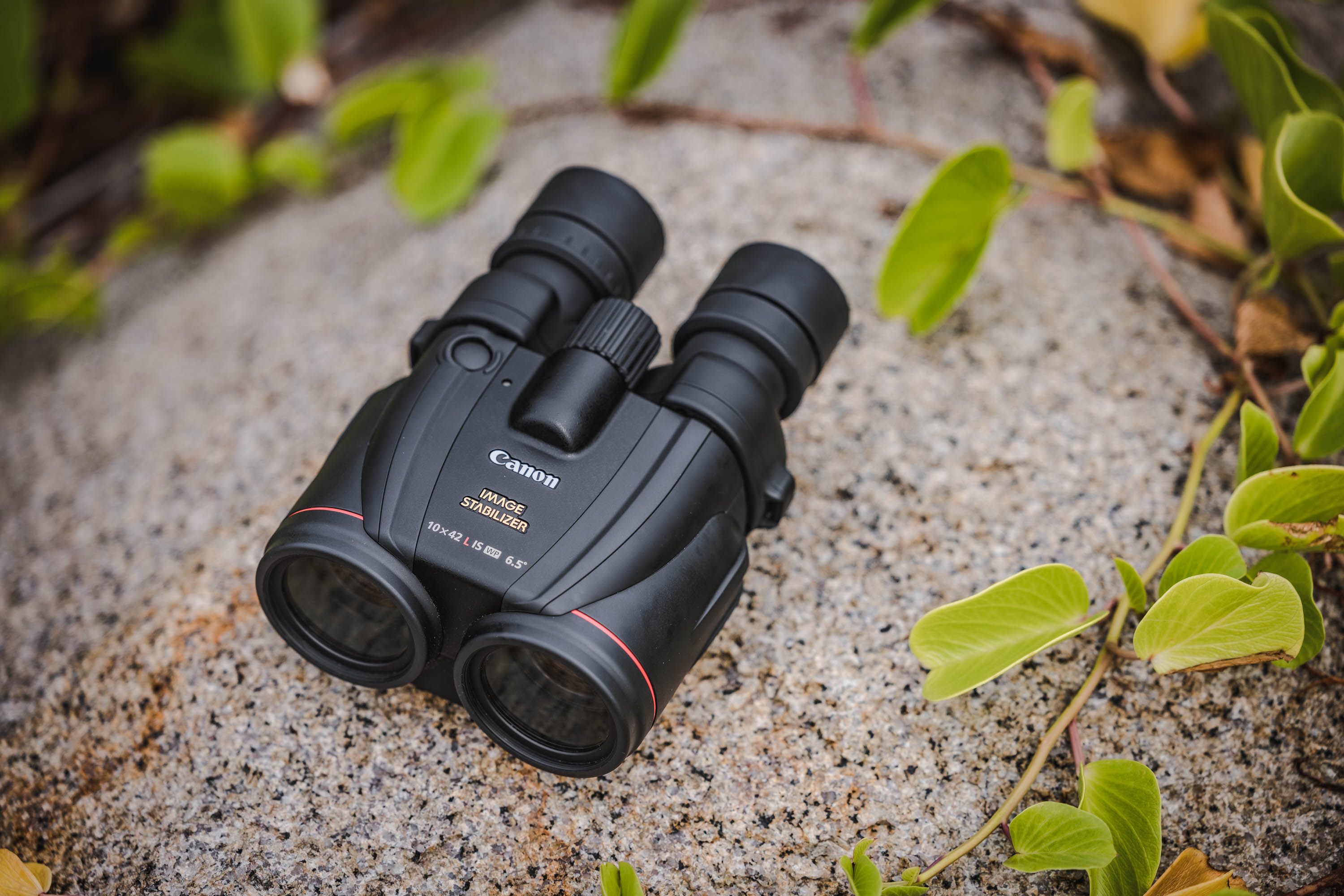 Canon Fernglas 10x42 L IS WP