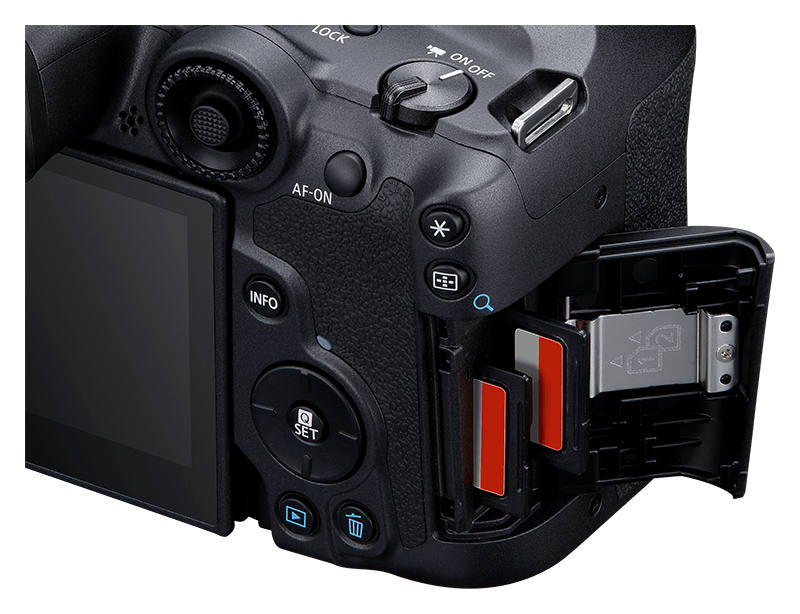 Canon EOS R7 + EF-EOS R Adapter