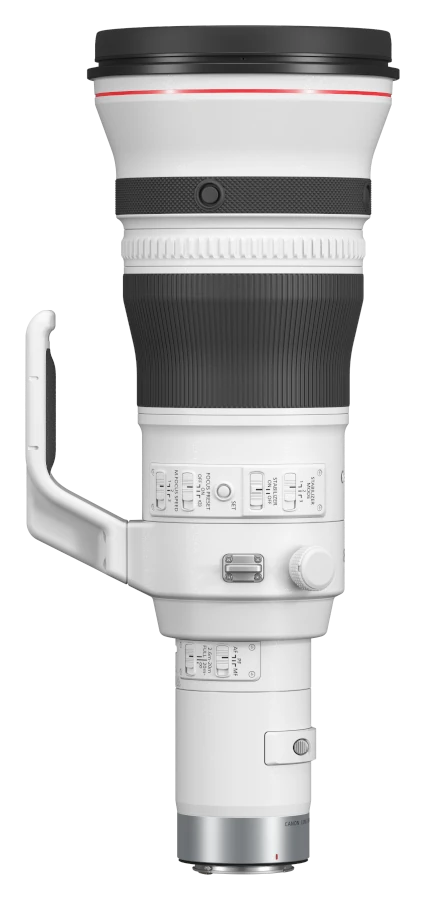 Canon RF 800mm 5.6 L IS USM