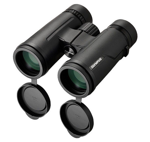 Olympus PRO 8x42 ED Fernglas