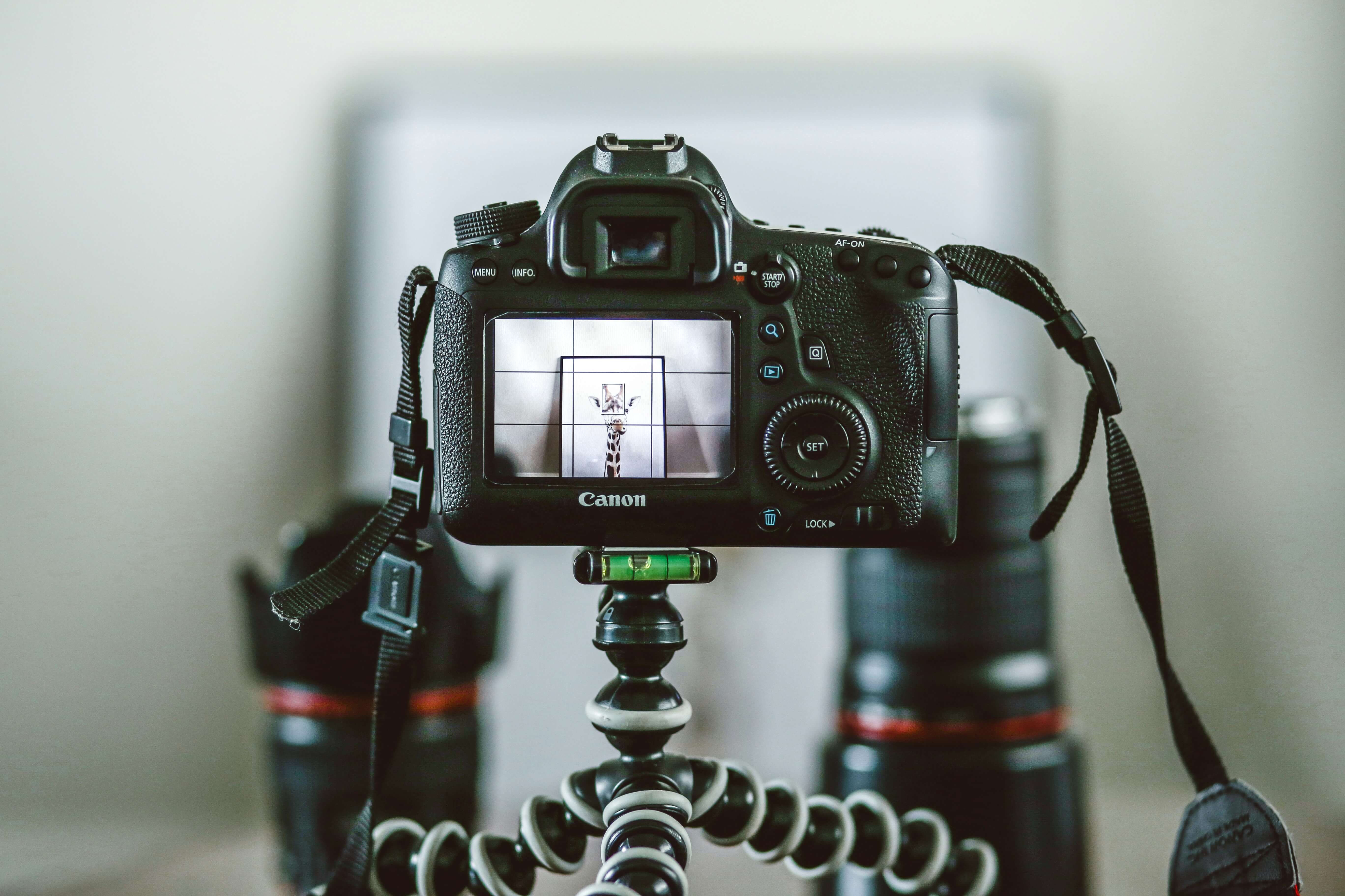 KI in der Fotografie: Tipps, Anwendungen und Tools KI in der Fotografie: Tipps, Anwendungen und Tools
