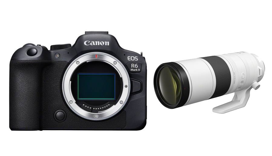 Canon EOS R6 Mark II + RF 200-800mm 6.3-9 IS USM