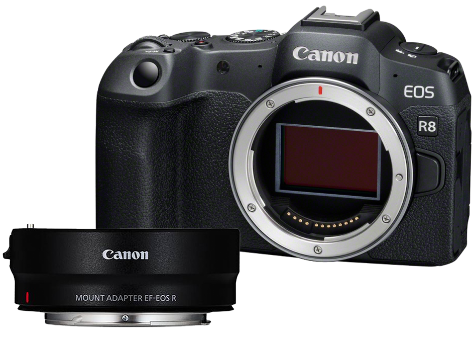 Canon EOS R8 + EF-EOS R Adapter