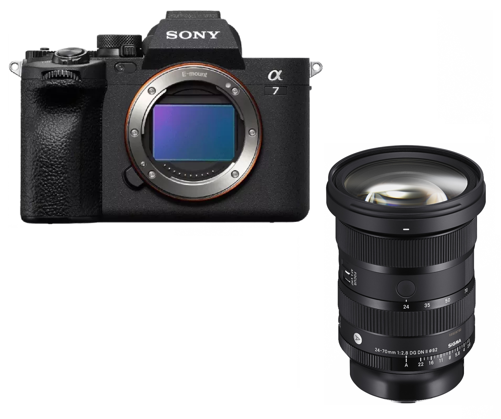 Sony Alpha 7 IV + Sigma Art 24-70mm 2.8 DG DN II
