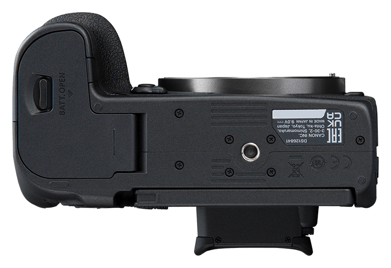 Canon EOS R7 + EF-EOS R Adapter