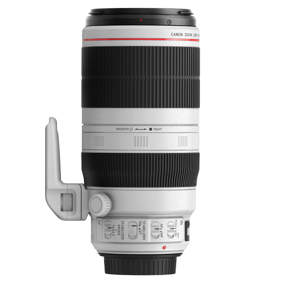 Canon EF 100-400mm 4.5-5.6 L IS USM II