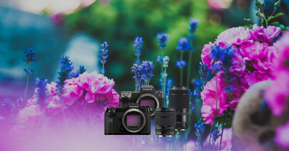 Kamera, Spiegelreflex?, Blumen?, Objektive, Fujifilm