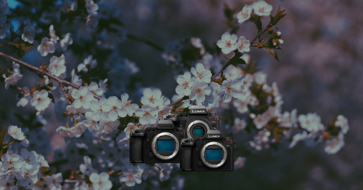 spiegelreflexkamera, digitale kamera, Lumix, Kameragehäuse, schwarze kamera