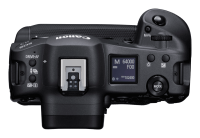 Canon EOS R3 + RF 50mm 1.8 STM