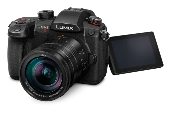 Panasonic Lumix GH5 II + Leica DG Vario-Elmarit 12-60mm 2.8-4.0 ASPH. O.I.S