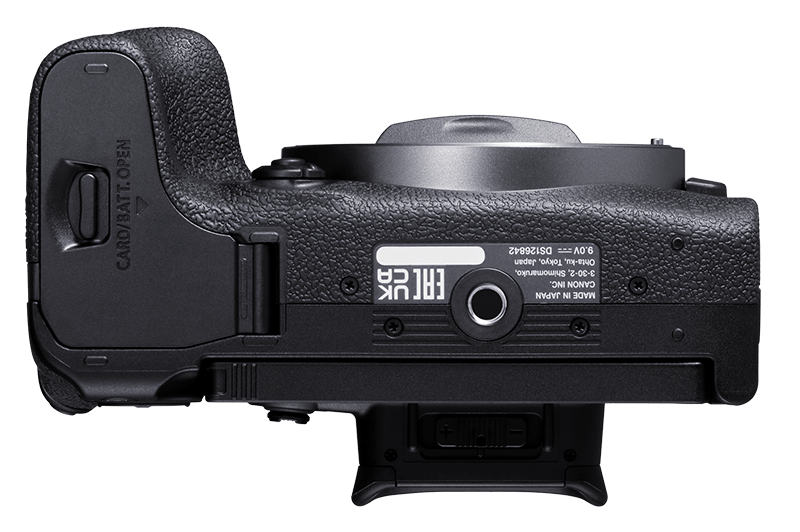 Canon EOS R10 + EF-EOS R Adapter