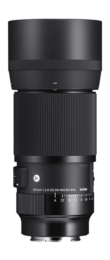 Sigma Art 105mm 2.8 DG DN Macro für Sony E-Mount