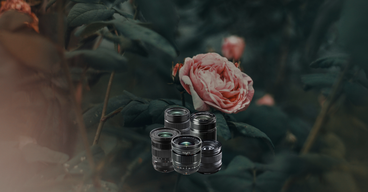 Objektiv, Objektivlinsen, Kameralinsen, Schwarz, Fotografie-Zubehör