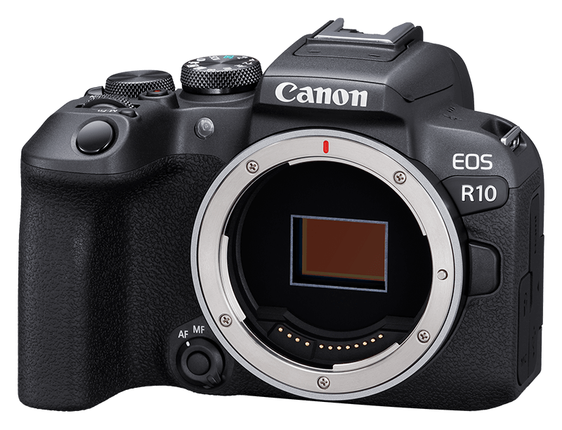 Canon EOS R10 + EF-EOS R Adapter