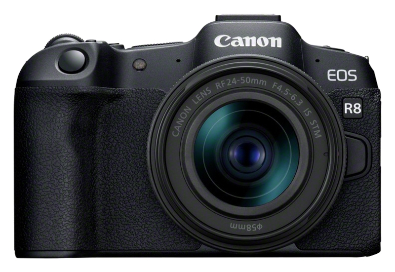 Canon EOS R8 + RF 24-50mm IS STM + RF 100-400mm IS USM