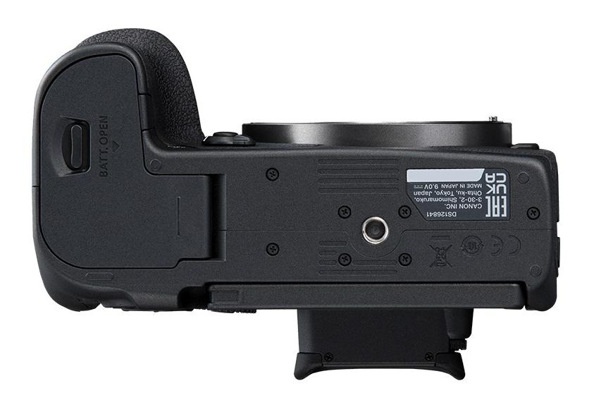 Canon EOS R7 + RF 50mm 1.8 STM