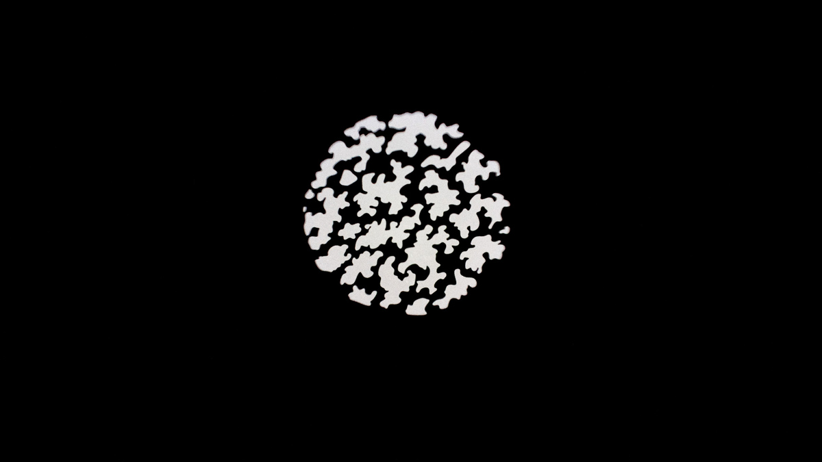 Nanlite PJ-BM-19 Projektionsvorsatz