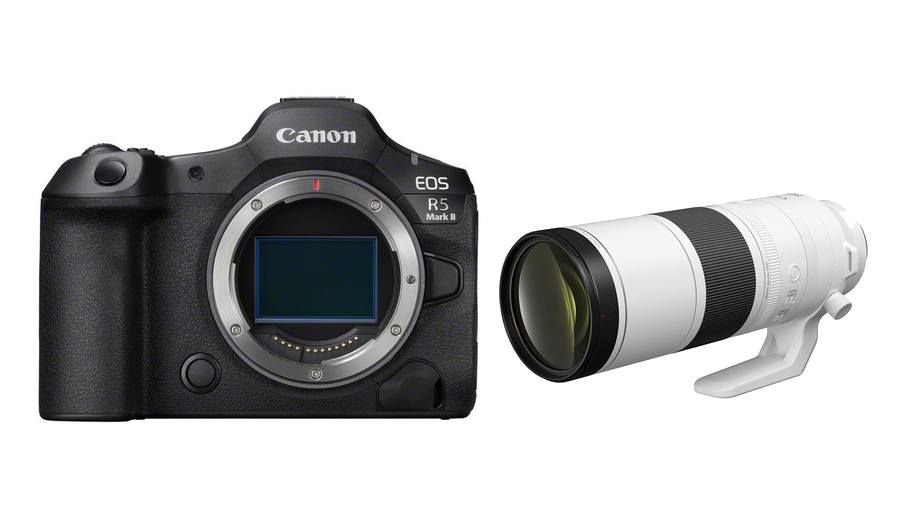 Canon EOS R5 Mark II + RF 200-800mm 6.3-9 IS USM