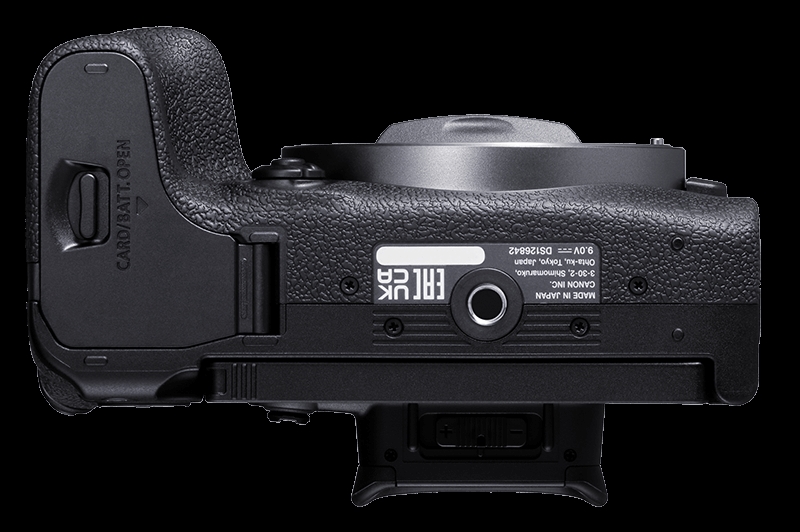Canon EOS R10 + RF-S 18-150mm 3.5-6.3 IS STM + RF 75-300mm 4-5.6