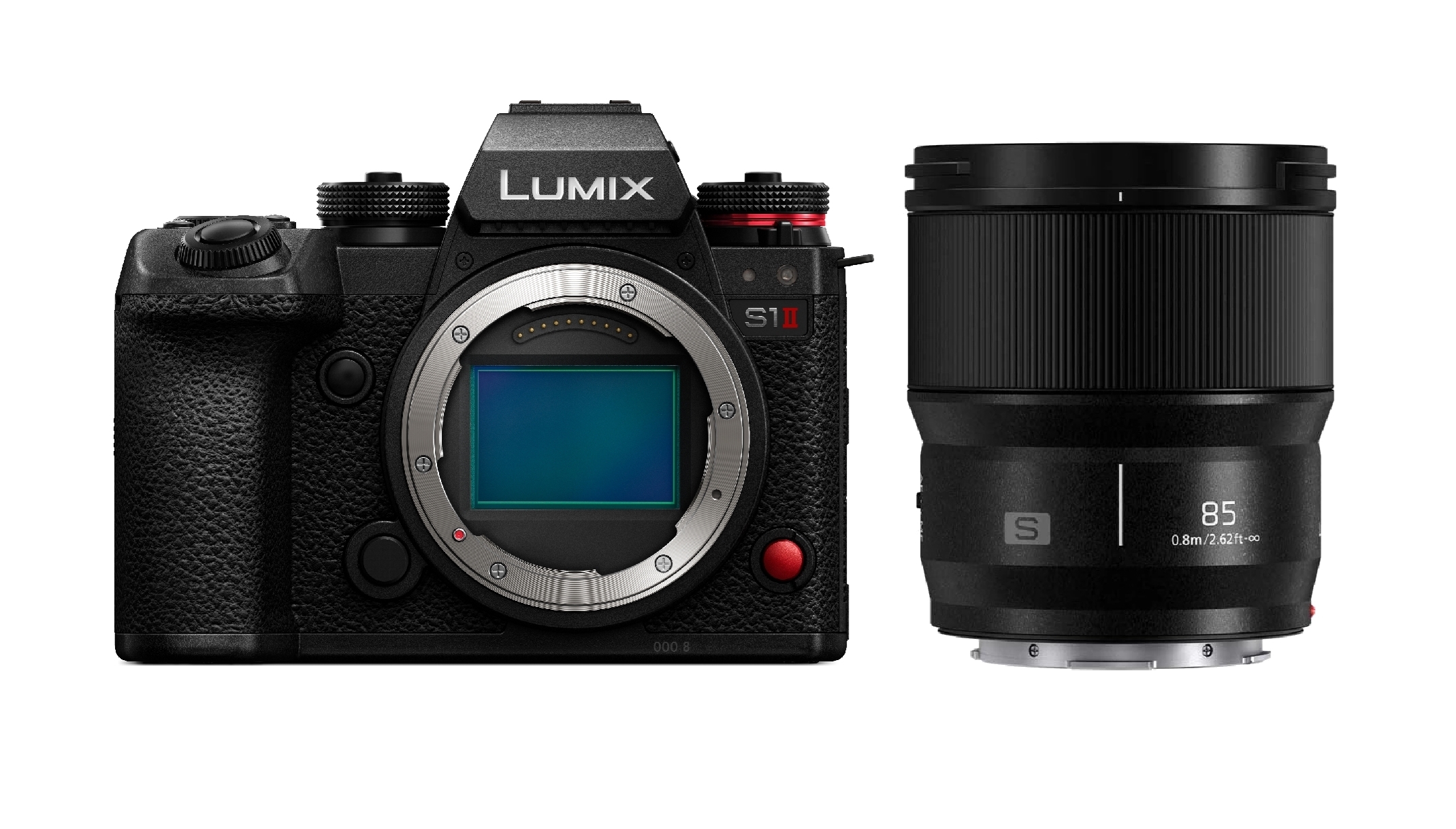Panasonic Lumix DC-S1 II + Lumix S 85mm 1.8