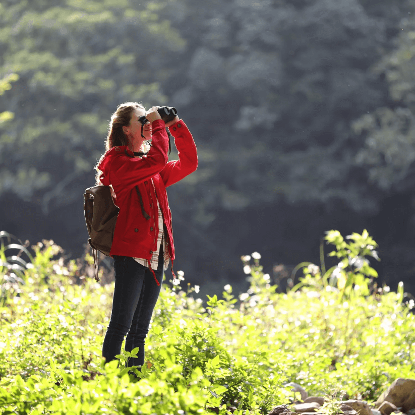 Canon Fernglas 12x32 IS